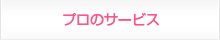 プロのサービス