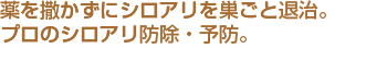薬を撒かずにシロアリを巣ごと退治。プロのシロアリ防除・予防。