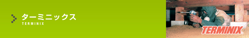 ダスキンターミニックス